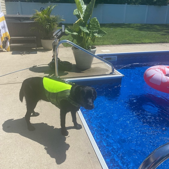 Arcadia Trail Flotation Coat for Dogs - Size Medium Slightly used - Picture 13 of 13